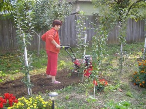 Ai nevoie de motosape de calitate ?