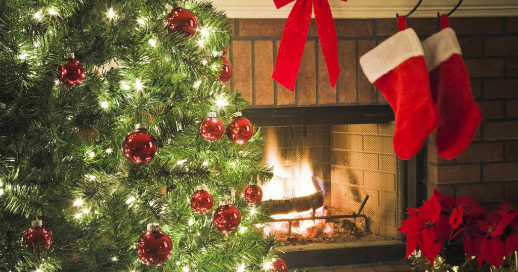 Bradutul de Craciun. Istorie si traditii