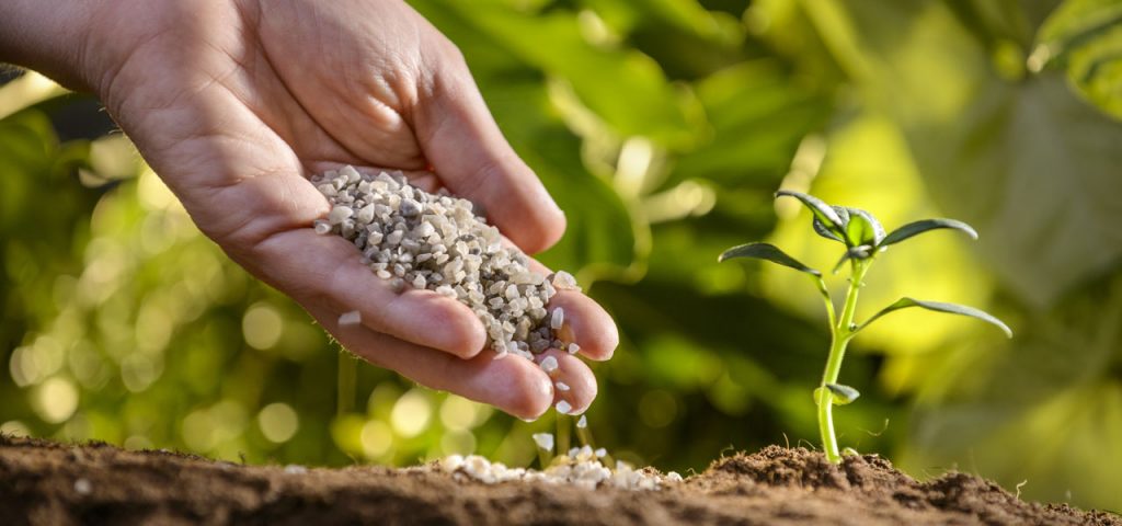 Beneficiile ingrasamintelor asupra plantelor